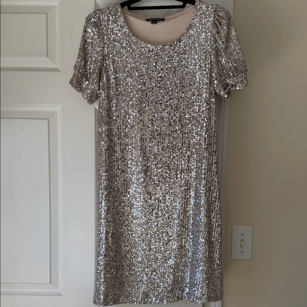 Cable & Gauge Silver Sequin Mini Dress